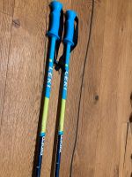 Kinder Ski Stöcke Skistöcke Leki Rider tS Series 90 cm Rheinland-Pfalz - Trier Vorschau