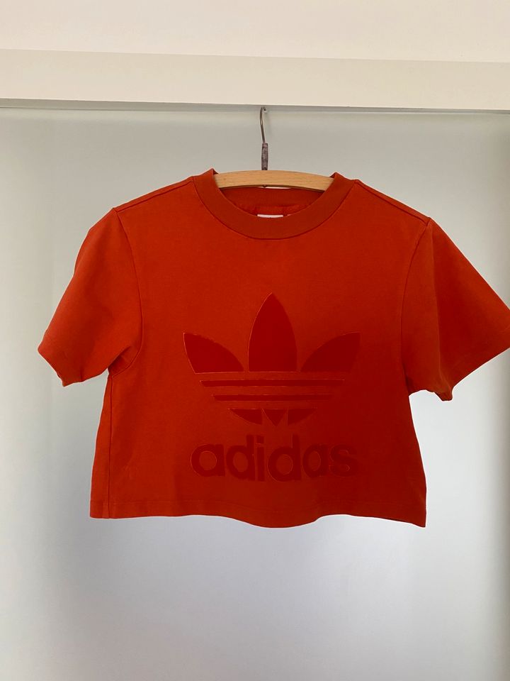 Cropped Shirtvon Adidas in Worbis