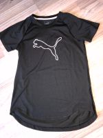 Puma Damen t-Shirt drycell Funktions sport Shirt ignite run Niedersachsen - Sachsenhagen Vorschau