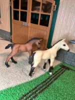 Schleich Fohlen Set Nordrhein-Westfalen - Herten Vorschau