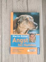 Martin Rütter - Angst bei Hunden Brandenburg - Groß Köris Vorschau