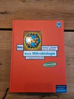 Lehrbücher der Mikro- und Molekularbiologie Brock Watson Albert Hessen - Ginsheim-Gustavsburg Vorschau