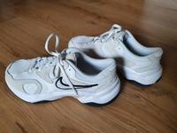 Nike Sportswear Sneaker 'Runinspo' weiß Nordrhein-Westfalen - Geldern Vorschau