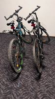 Fahrräder zu verkaufen Ricklingen - Mühlenberg Vorschau