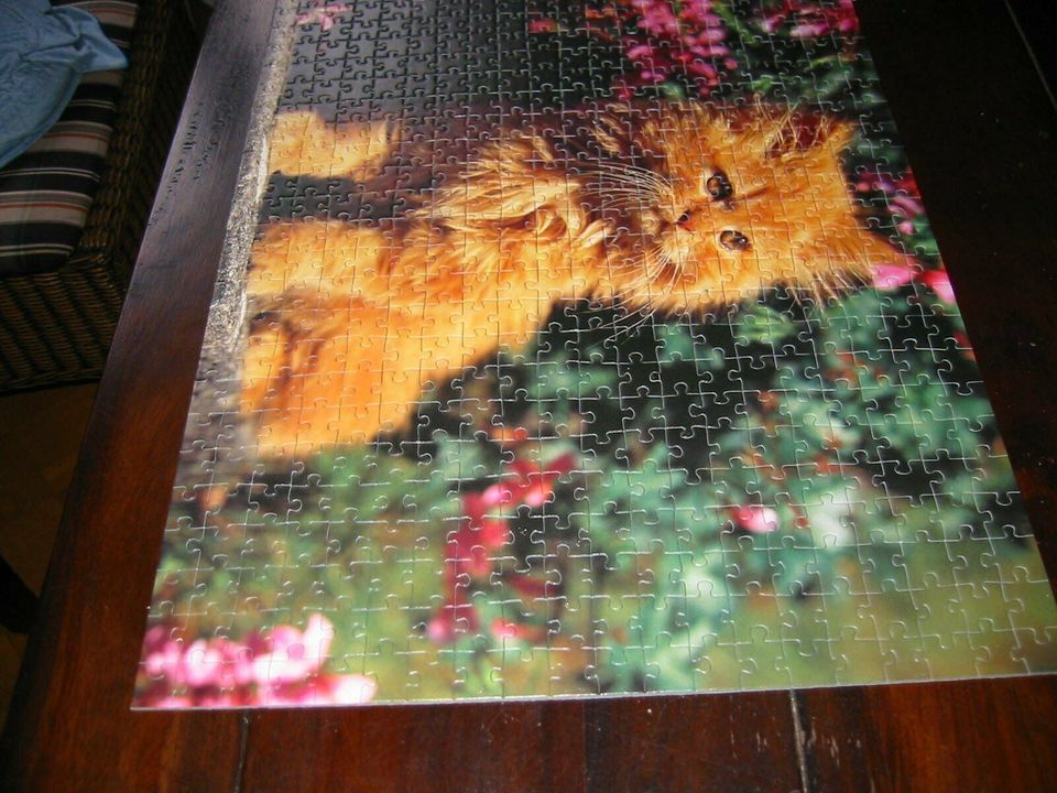 Puzzle, 500 Teile, Ravensburg, Katze, Perserkatze in Hagen