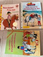 Erstleser Mädchen Bücher Pferde Ponys Sachsen - Großröhrsdorf Vorschau