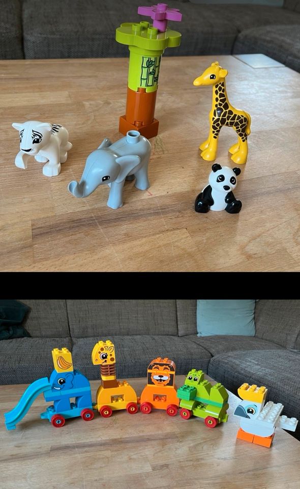 Duplo Set Tierzug und Tierkinder in Schlüchtern