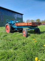 Eicher Geräteträger G19/22 Traktor Case Ihc Deutz Fendt Güldner Dithmarschen - Linden Vorschau