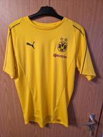 BVB Trainingsshirt Hessen - Staufenberg Vorschau
