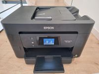 Epson Multifunktionsdrucker Nordrhein-Westfalen - Delbrück Vorschau