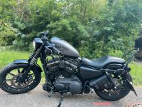 Harley Davidson Iron 883 Stuttgart - Bad Cannstatt Vorschau