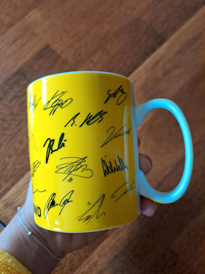 BVB Tasse, Saison 2011/2012 in Stuttgart