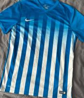 Nike Trikot / Top Zustand ✅ Bayern - Eggenfelden Vorschau