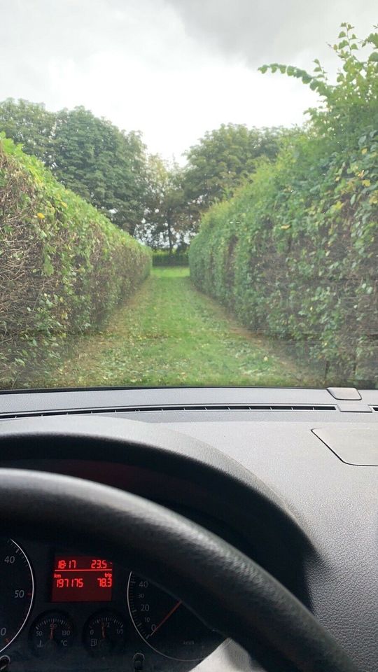 Hecke schneiden Gartenhilfe Heckenschnitt Gartenarbeit in Flintbek