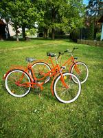 2x Mifa 26 er Neuaufbau 90%original DDR Fahrrad Mifa Diamant Sachsen-Anhalt - Rhoden Vorschau