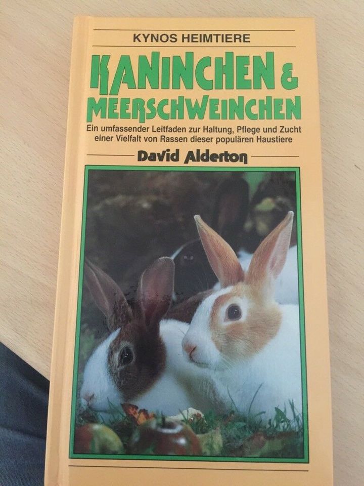 Kaninchen und Meerschweinchen in Homburg