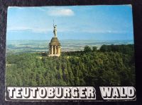 10x AK - LEPORELLO - TEUTOBURGER WALD - HERMANN DENKMAL Aufklapp Rheinland-Pfalz - Bekond Vorschau