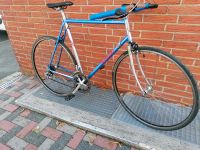 Nishiki Triathlete Rennrad mit Flatbar 28 Zoll Dortmund - Scharnhorst Vorschau