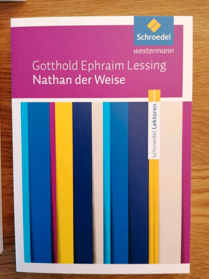 Abitur 2019 - Schroedel - Set - Deutsch plus Lehrerhandbuch in Lüneburg