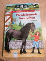 Buch 'die Pferde vom Friesenhof-Pferdefreunde fürs Leben' Bayern - Itzgrund Vorschau