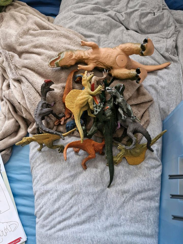 Schleich Dinostation in Geldern