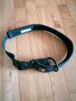 Hunde Halsband Dogs Creek XL 55-65 cm Thüringen - Nessetal Vorschau