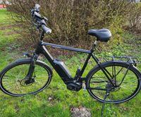 E-Bike, Herrenrad, Trecking, 85 Nm, Kettenschaltung, Fahrrad Kiel - Suchsdorf Vorschau