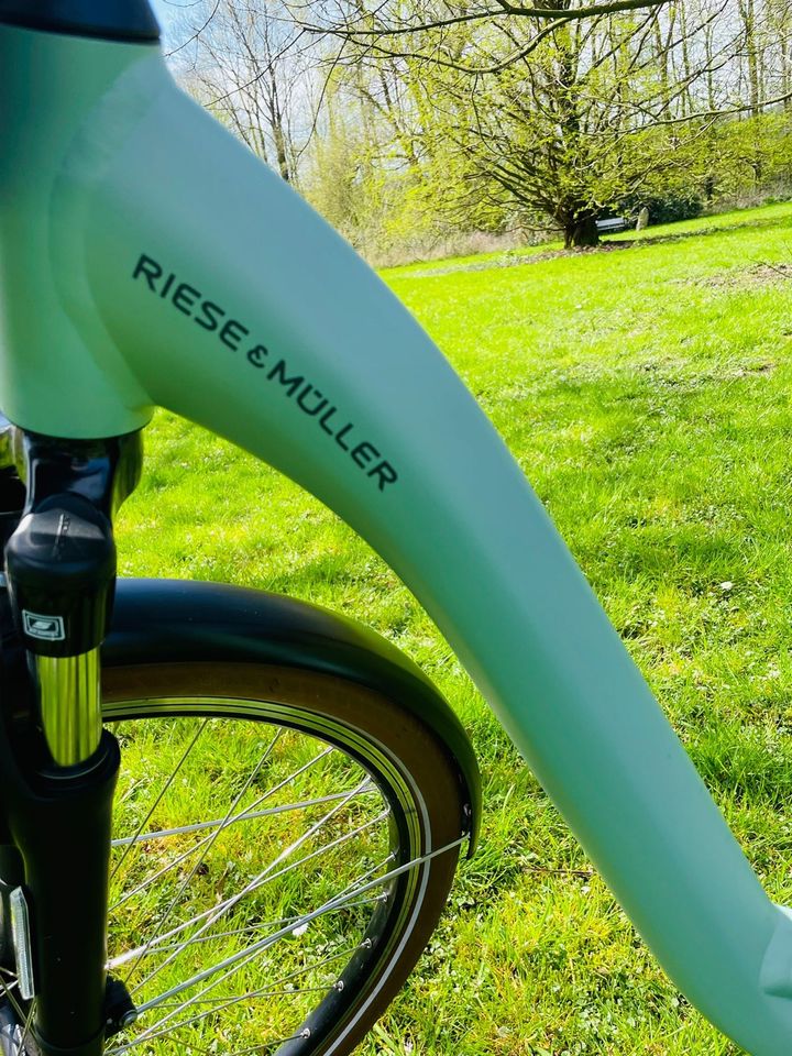 E-Bike, Riese und Müller Swing in Rödinghausen