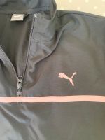 Puma Jacke Sport Kinder S Wandsbek - Hamburg Sasel Vorschau