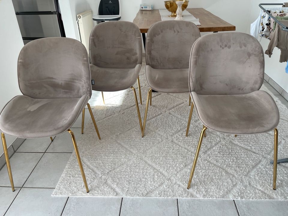 Beige & Gold Stühle 4X in Kall