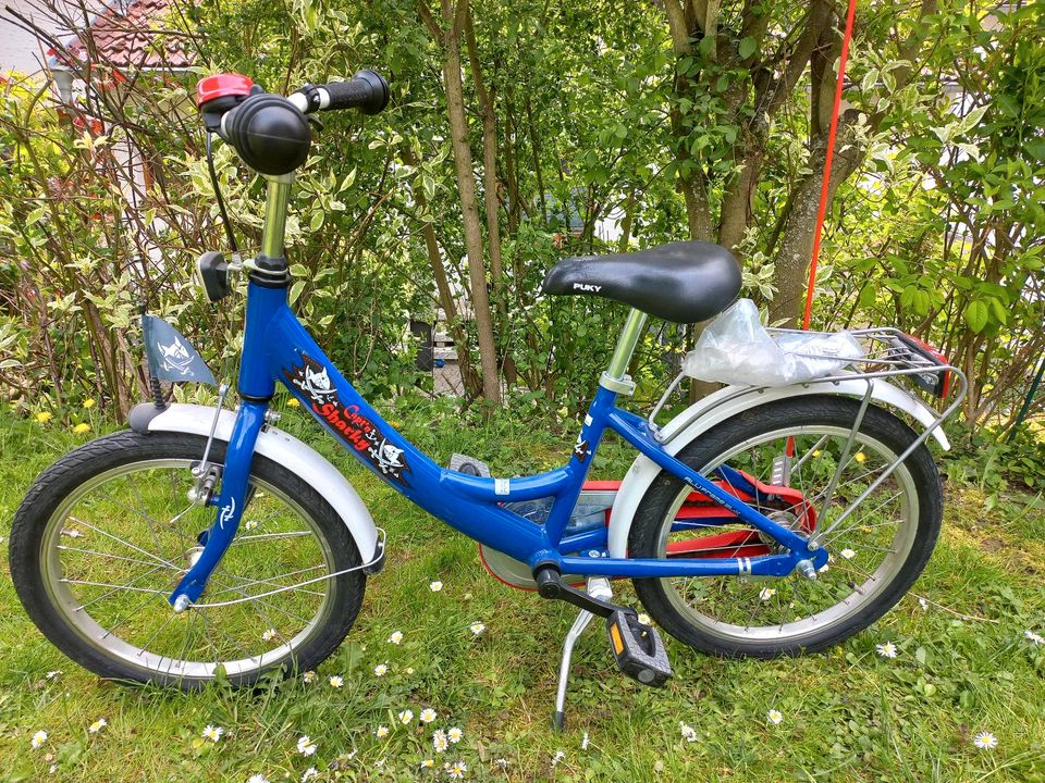 Puky Capt'n Sharky Fahrrad 18 Zoll in Delligsen