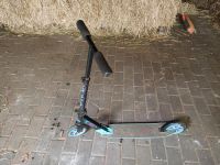 Roller/Scooter von Kruzer Nordrhein-Westfalen - Harsewinkel Vorschau