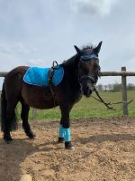 Ponyzeit/ Ponyreiten / Reitunterricht Schritt & Trab Niedersachsen - Tespe Vorschau