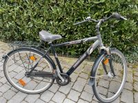 7 x Fahrräder München - Allach-Untermenzing Vorschau