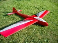 E - Curare RC-Flugmodell Flugzeug Modellbau super leicht nur 576g Baden-Württemberg - Maselheim Vorschau