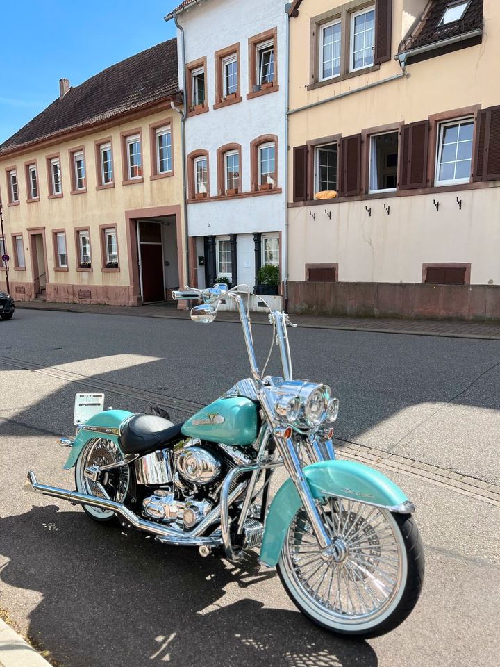 HD Softail (Chicano) Deluxe Twin Cam 96 in Mannheim