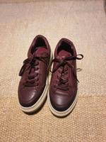 Tommy Hilfiger Damenschuhe Größe 38 München - Moosach Vorschau