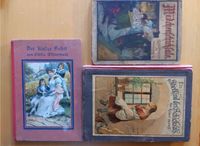 3 antike historische Kinderbücher 30er Wildermuth Hertwig Altstadt-Lehel - München/Lehel Vorschau