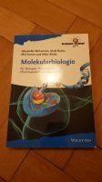 MOLEKULARBIOLOGIE für Biologen, pharmazeuten, biochemiker medizin Bayern - Regensburg Vorschau