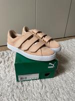 Puma Sneaker Basket Strap ExoticSkin Klettverschluss, Neu! Innenstadt - Köln Altstadt Vorschau