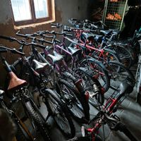 Diverse Fahrräder / Fahrrad Sammlung / Rennrad / Mountainbike Rheinland-Pfalz - Pirmasens Vorschau