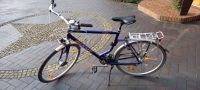 Giant Herrenfahrrad Comfort mit 60 cm  Rahmen 28 Zoll Reifen Schleswig-Holstein - Vaalermoor  Vorschau