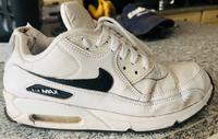 SUCHE diese Nike Air Max in Größe 42.5 Niedersachsen - Ostrhauderfehn Vorschau