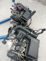 MOTOR CZC CZCA CZCB 92KW 125PS 2TK 4TK Nordrhein-Westfalen - Schloß Holte-Stukenbrock Vorschau