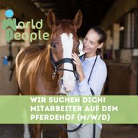 Wir suchen dich! Mitarbeiter auf dem Pferdehof (m/w/d) Nordrhein-Westfalen - Alpen Vorschau