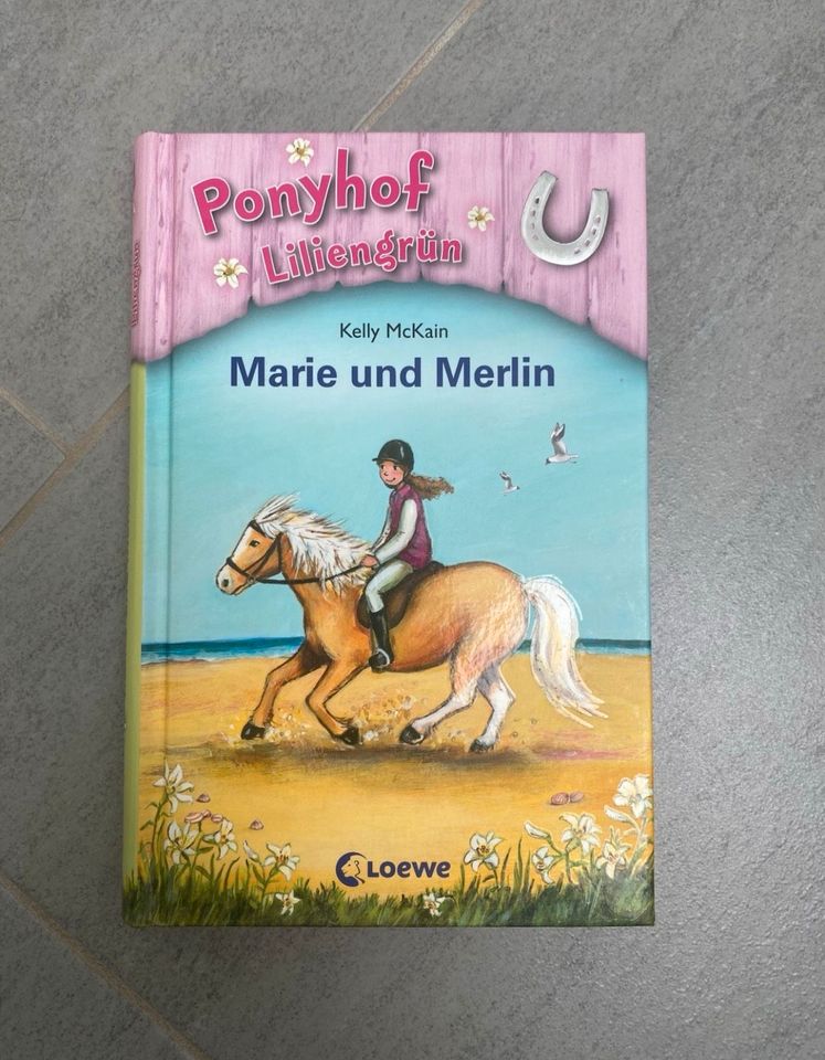 „Ponyhof Liliengrün“ Kinderbuch, Pferdebuch, Pferde in Haan