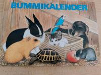 Bummi Kalender original neu DDR Sachsen - Borna Vorschau