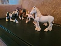 5 Schleichpferde ,Pferde,Schleich ,sammeln Schleichtiere Schleswig-Holstein - Dänischenhagen Vorschau