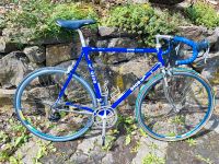 Rennrad Gios Evolution Compact Campagnolo RH 58 Nordrhein-Westfalen - Medebach Vorschau