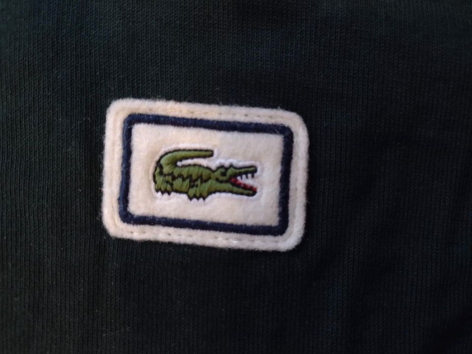 Lacoste Pullover Sweatshirt dunkelgrün S neu Herren in Braunweiler